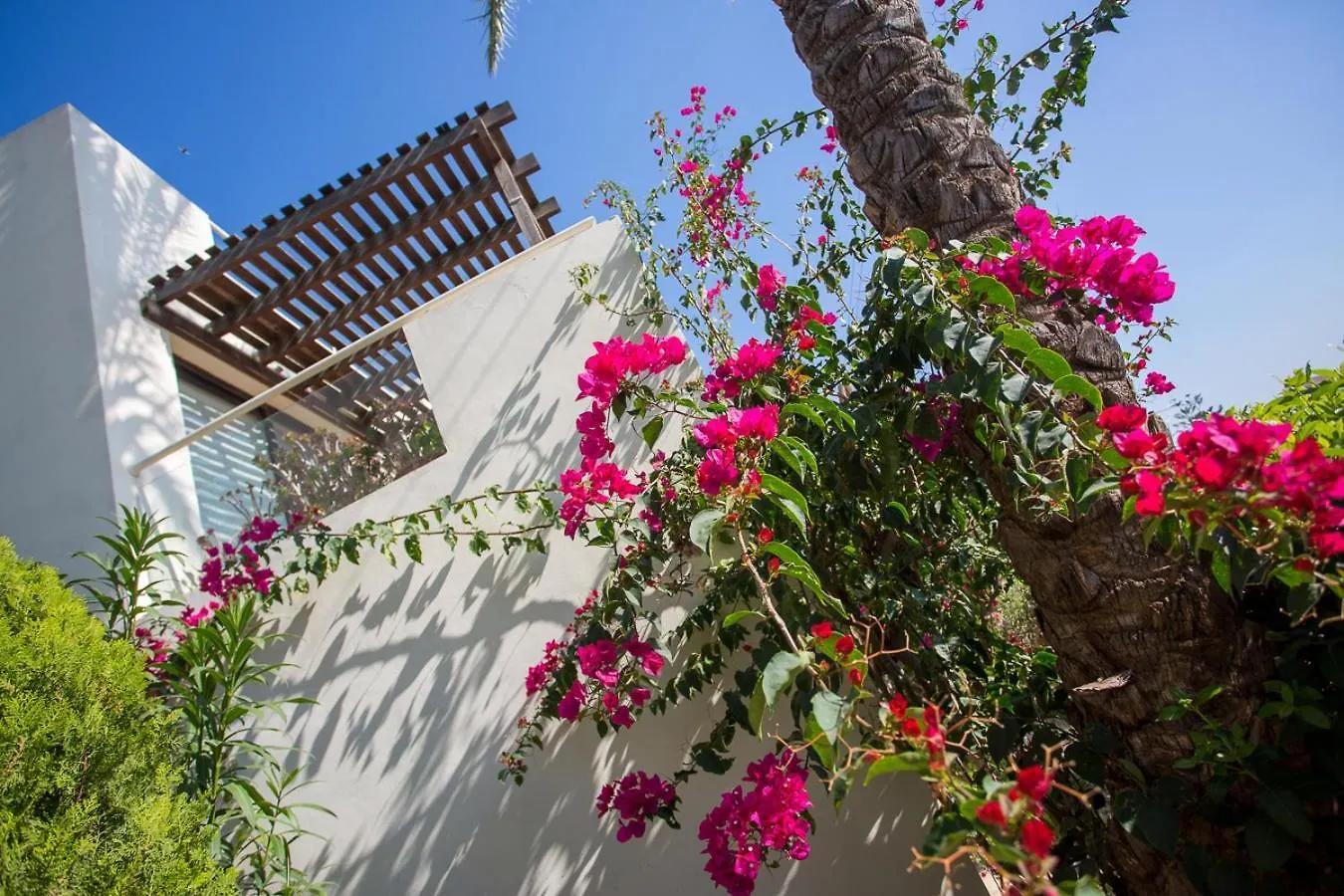 Penthouse Duplex Overlooking The Mediterranean Larnaca